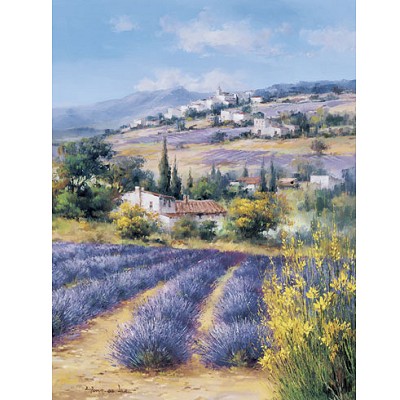 un champ de  lavande  